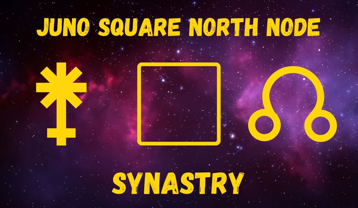 Venus Conjunct North Node Synastry: Cosmic Connections